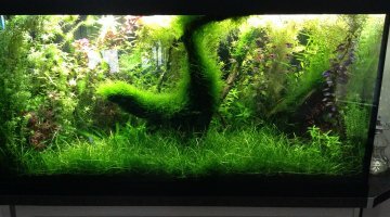 Bac 340 litres