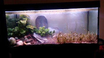 300 litres naturel