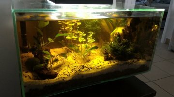 Fluval Edge 23L