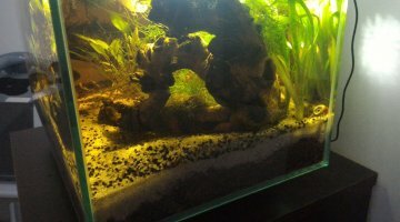 Fluval Edge 23L