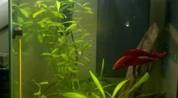 Nano 20L