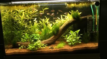 Nouveau 60L