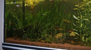 450 litres Asiatique
