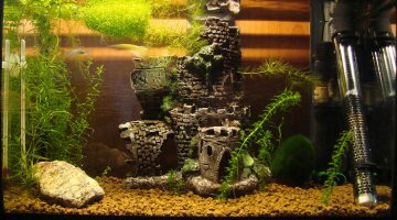 20L Bac à Panda