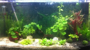 Aqua 200L