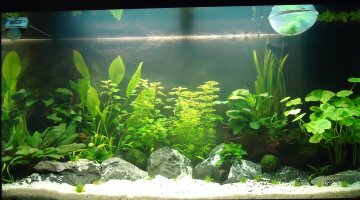 125L Rio