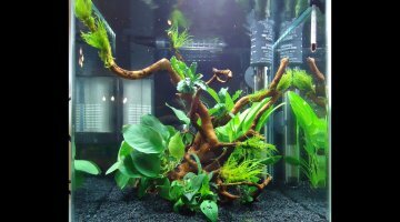 Nano 20L WIP