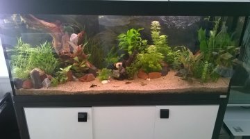fluval 240l