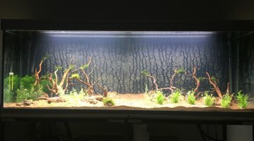 840L poissons du monde