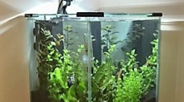 nano 40 litres