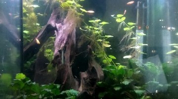 60 litres