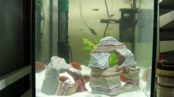 nano 20L