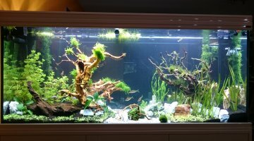 Aquatlantis Fusion 150