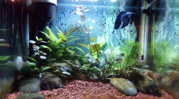 Nano 20L