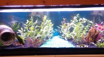 600L communautaire low-tech