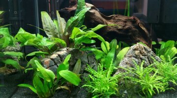 Nano Cube Dernerle 30L