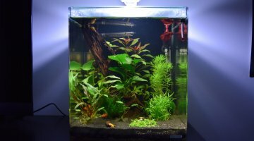Nano Cube 30L