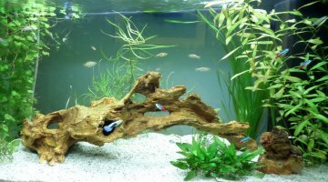 125 litres eau douce