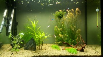 140 l