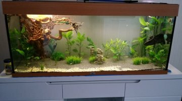 communautaire 240l juwel