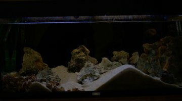 180L Tanganyika
