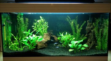 askoll pure 107L