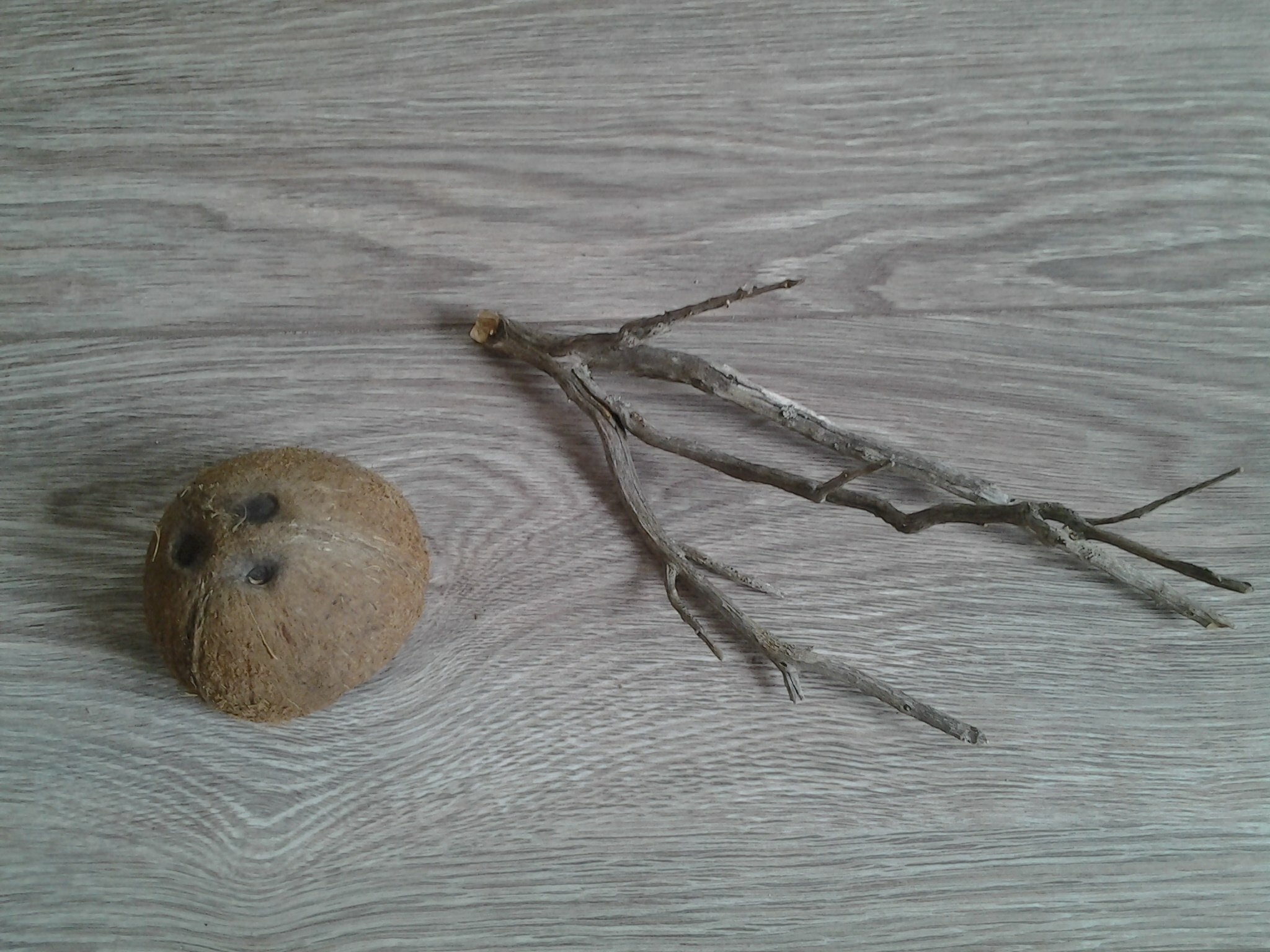 branche d'arbre aquarium