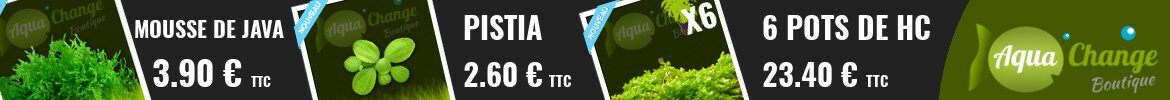 Vente de plantes d'aquarium