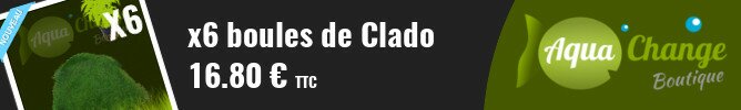 vente en ligne de Clado