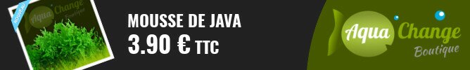 vente en ligne de mousse de java