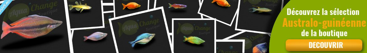 achat de poisson australo guinéen