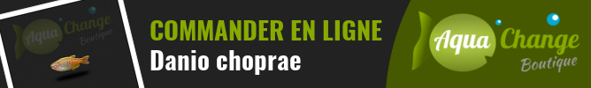 Vente en ligne de Danio Choprae