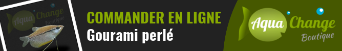 vente en ligne de Gourami perlé (Trichogaster leeri)