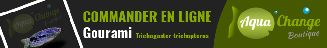 vente en ligne de Gourami (Trichogaster trichopterus)
