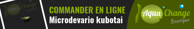 vente en ligne de Microdevario kubotai
