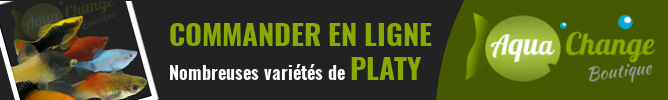 vente en ligne de variétés de platy