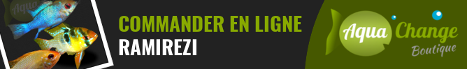 Vente en ligne de Ramirezi