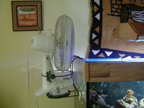 Ventilateur aquarium